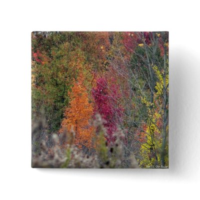 Autumn's Palette Button by hopefulone