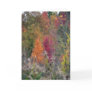 Autumn's Palette Greeting Card