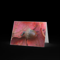 AUTUMNS PROMISE cards