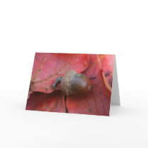 AUTUMNS PROMISE cards