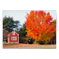 AUTUMNS SPLENDOR cards
