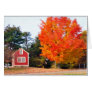 AUTUMNS SPLENDOR