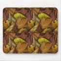 Autumns Treasures mousepads