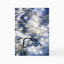 Autumn's Veil with Snowflakes cards