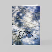 Autumn's Veil with Snowflakes cards