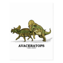 Avaceratops Postcard