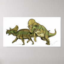 Avaceratops Poster