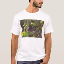 Avahi t-shirts by brownlemur Avahi t-shirts