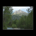 Avalanche Creek Postcard