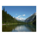 Avalanche Lake Postcard