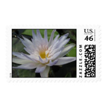 Avalanche stamps