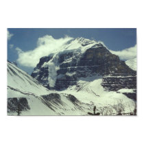 Avalanche! posters