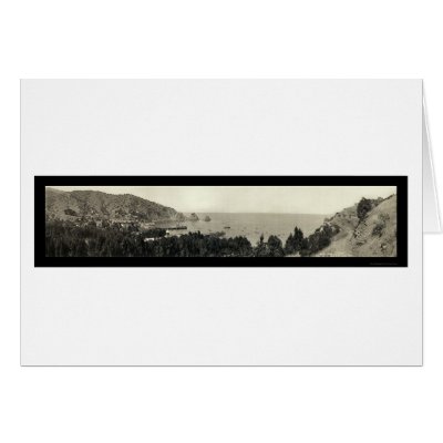 Avalon Catalina Island Photo 1911 Cards by lc_panoramicphotos