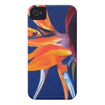 Ave del paraíso iPhone 4 Case-Mate cárcasa