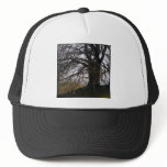 Avebury Beech Trucker Hats