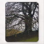Avebury Beech Mousepad