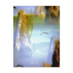 Avebury Henge with Bird Postcard
