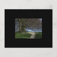 Avebury, Wiltshire, England. Tree and path. Full Color Flyer