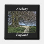 Avebury, Wiltshire, England. Tree and path. Refrigerator Magnets
