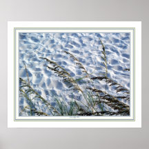 Avena del mar posters