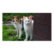 Aventura de los amigos del gato plantilla de tarjeta de negocio