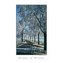 Avenue of Dreams posters