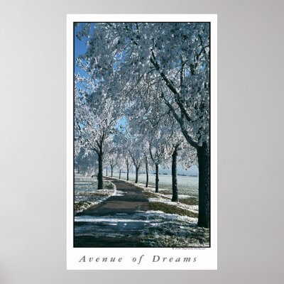 Avenue of Dreams Posters by stephjmort