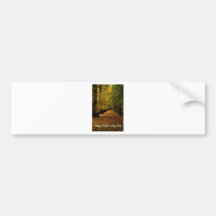 Avenue of leaves Father's Day.jpg Bumper Sticker