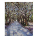 Avenue of The Oaks posters