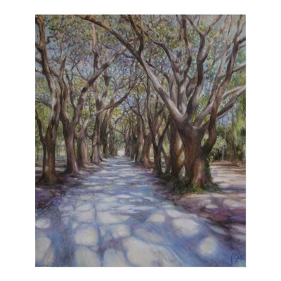 Avenue of The Oaks Print by Cathyyy