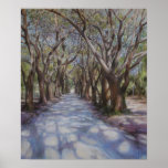 Avenue of The Oaks Print