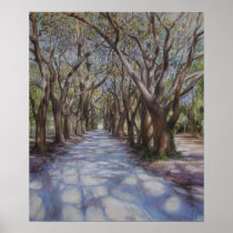 Avenue of The Oaks Print