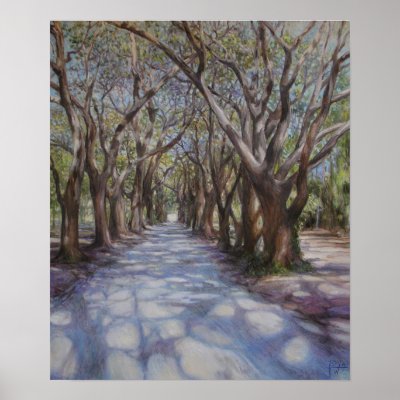 Avenue of The Oaks Print by Cathyyy