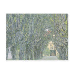 Avenue of Trees Postcard