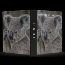 Avery Binder Template Koala Photo
