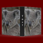 Avery Binder Template Koala Photo