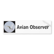 Avian Observer Bumper Stickers