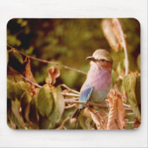 Aviary Mouse Mat