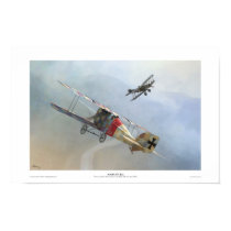 Aviatik D.I posters