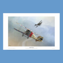 Aviatik D.I posters