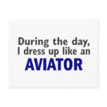 AVIATOR During The Day Postcards
