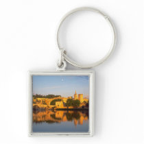 Avignon, Vaucluse, Provence, France, Rhone