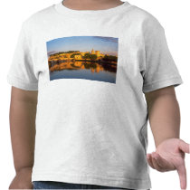 Avignon, Vaucluse, Provence, France, Rhone Tshirt
