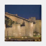 Ávila, Castile y León, España Iman De Nevera