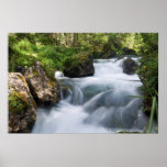 Avisio stream, Italy Posters