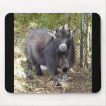 Avitar the Pygmy goat mouse pad mousepads by quacked Avitar the Pygmy goat mouse pad mousepads