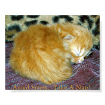Avoid Stress. Take a Nap posters by sjwilson Avoid Stress. Take a Nap posters