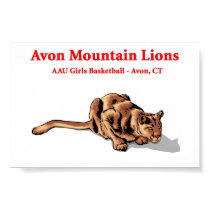 Avon Mountain Lions - Basketball Club Poster posters