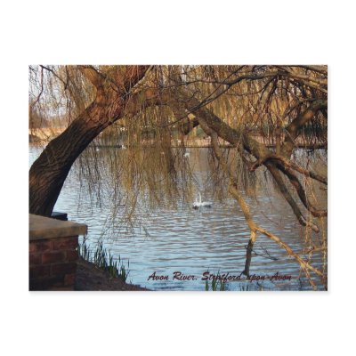 Avon River, Stratford-upon-Avon Postcards by birdersue