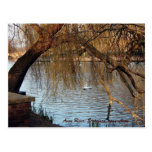 Avon River, Stratford-upon-Avon Postcards